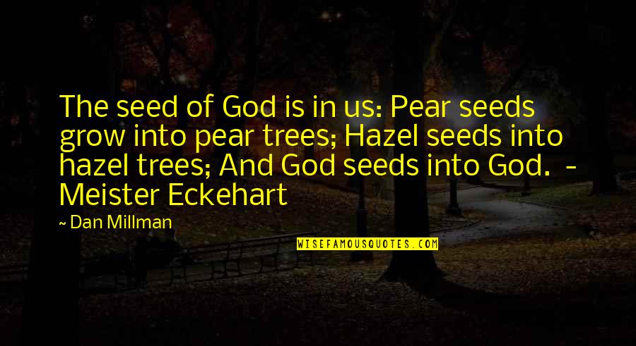 Behrikis Quotes By Dan Millman: The seed of God is in us: Pear