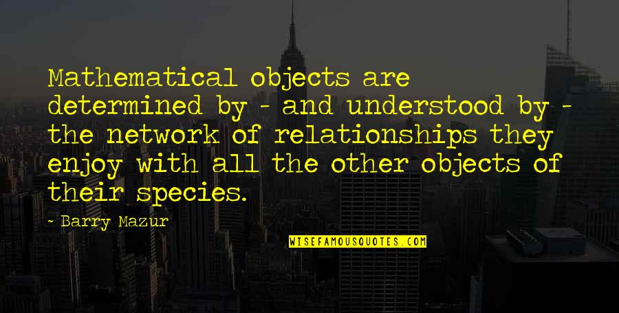 Beilen Centrum Quotes By Barry Mazur: Mathematical objects are determined by - and understood