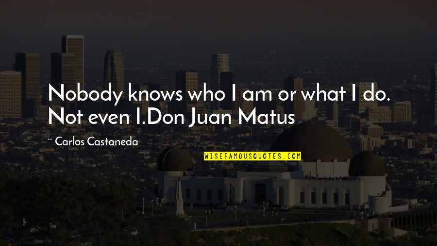 Beiler Quotes By Carlos Castaneda: Nobody knows who I am or what I Beiler Quotes By Carlos Castaneda: Nobody knows who I am or what I
