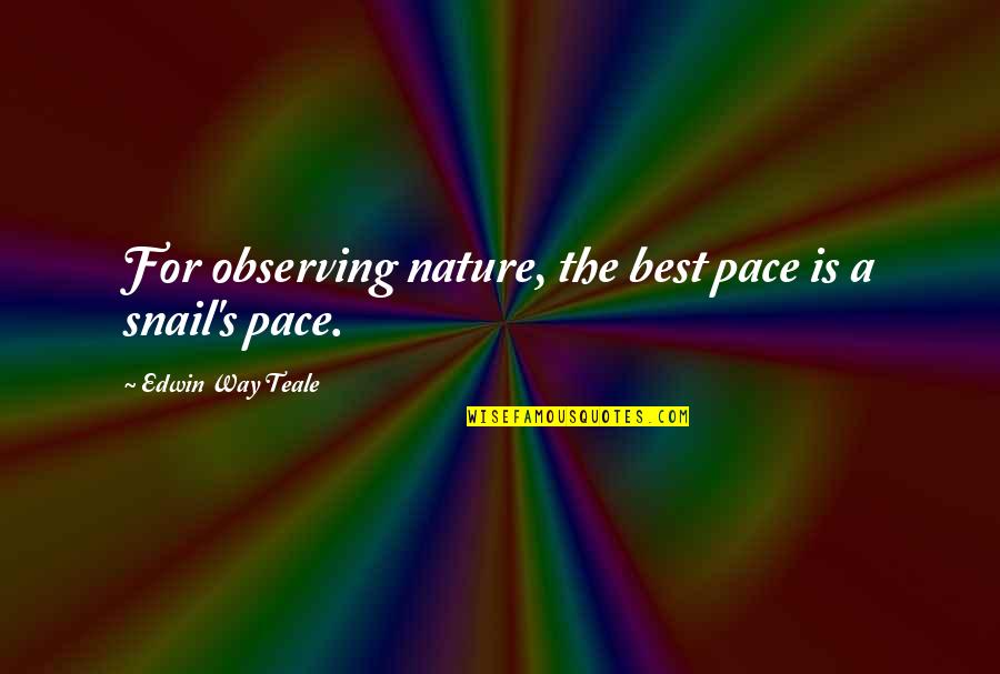 Beinfield Gun Quotes By Edwin Way Teale: For observing nature, the best pace is a