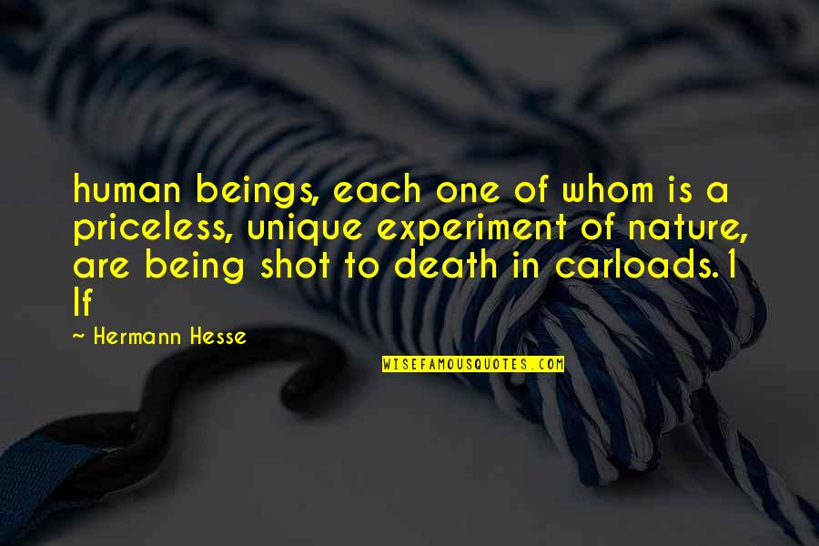 Being 1 Quotes By Hermann Hesse: human beings, each one of whom is a