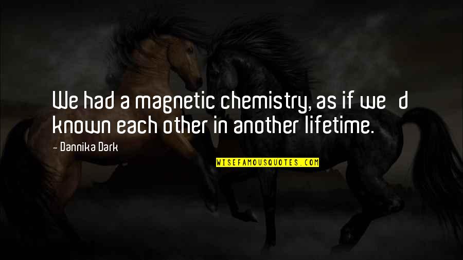 Being 19 Quotes By Dannika Dark: We had a magnetic chemistry, as if we'd