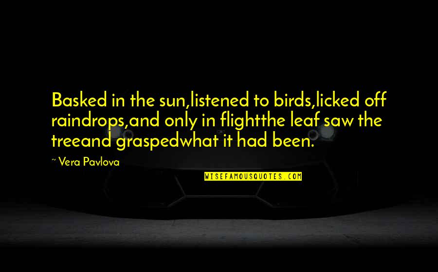 Being 19 Years Old Quotes By Vera Pavlova: Basked in the sun,listened to birds,licked off raindrops,and