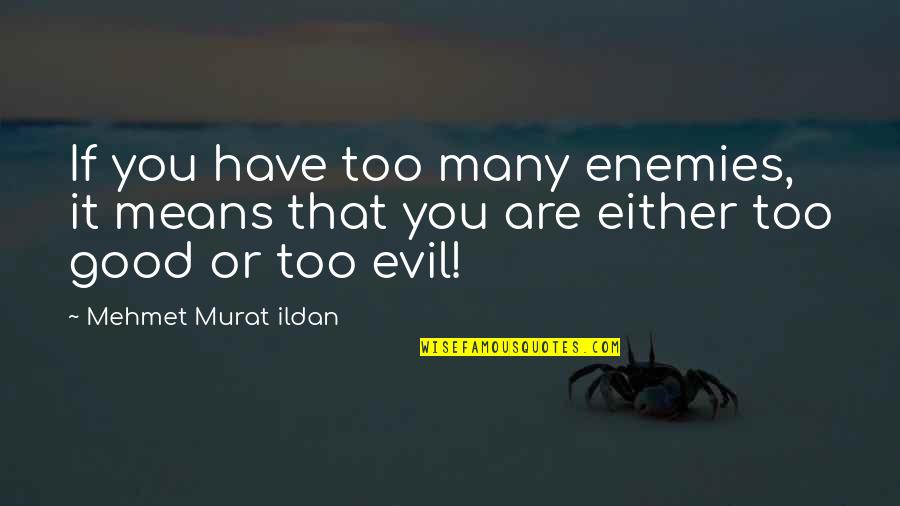 Being 20 Quotes By Mehmet Murat Ildan: If you have too many enemies, it means
