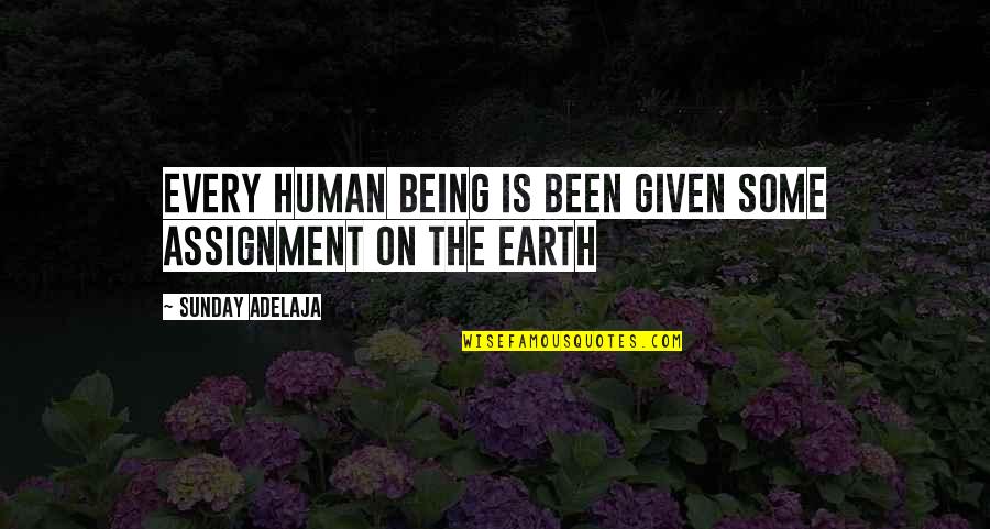 Being 2nd Choice Quotes By Sunday Adelaja: Every human being is been given some assignment