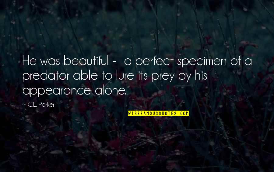 Being 45 Quotes By C.L. Parker: He was beautiful - a perfect specimen of