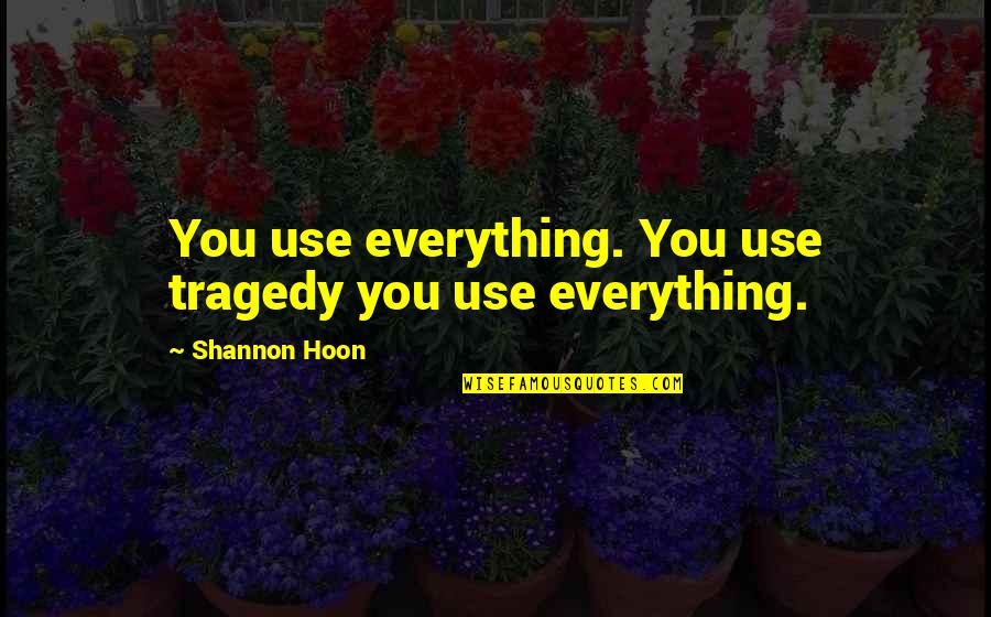 Being A Bit Crazy Quotes By Shannon Hoon: You use everything. You use tragedy you use