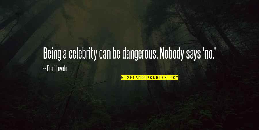 Being A Celebrity Quotes By Demi Lovato: Being a celebrity can be dangerous. Nobody says