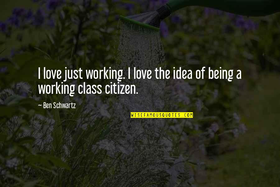 Being A Citizen Quotes By Ben Schwartz: I love just working. I love the idea