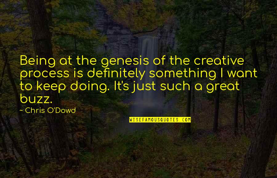 Being A Creative Quotes By Chris O'Dowd: Being at the genesis of the creative process Being A Creative Quotes By Chris O'Dowd: Being at the genesis of the creative process
