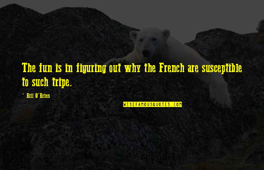 Being A Crime Scene Investigator Quotes By Bill O'Brien: The fun is in figuring out why the