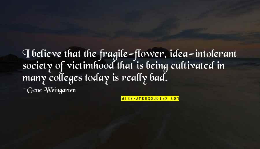Being A Flower Quotes By Gene Weingarten: I believe that the fragile-flower, idea-intolerant society of