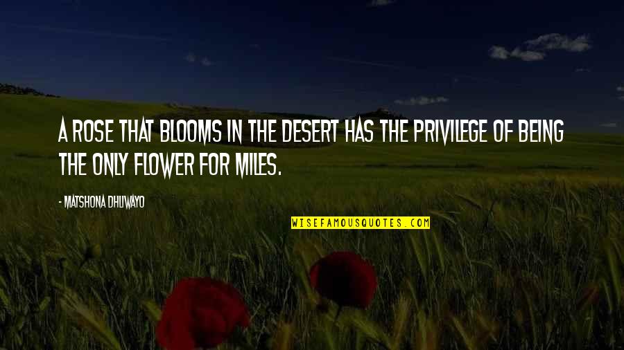Being A Flower Quotes By Matshona Dhliwayo: A rose that blooms in the desert has