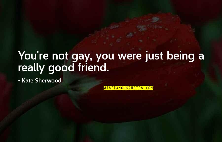 Being A Good Friend Quotes By Kate Sherwood: You're not gay, you were just being a