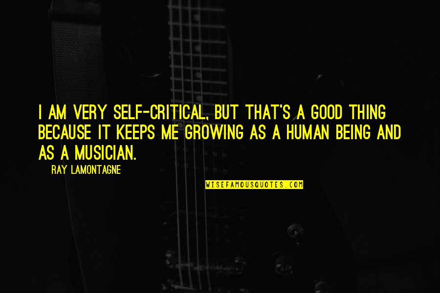 Being A Good Human Quotes By Ray Lamontagne: I am very self-critical, but that's a good