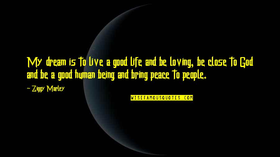 Being A Good Human Quotes By Ziggy Marley: My dream is to live a good life