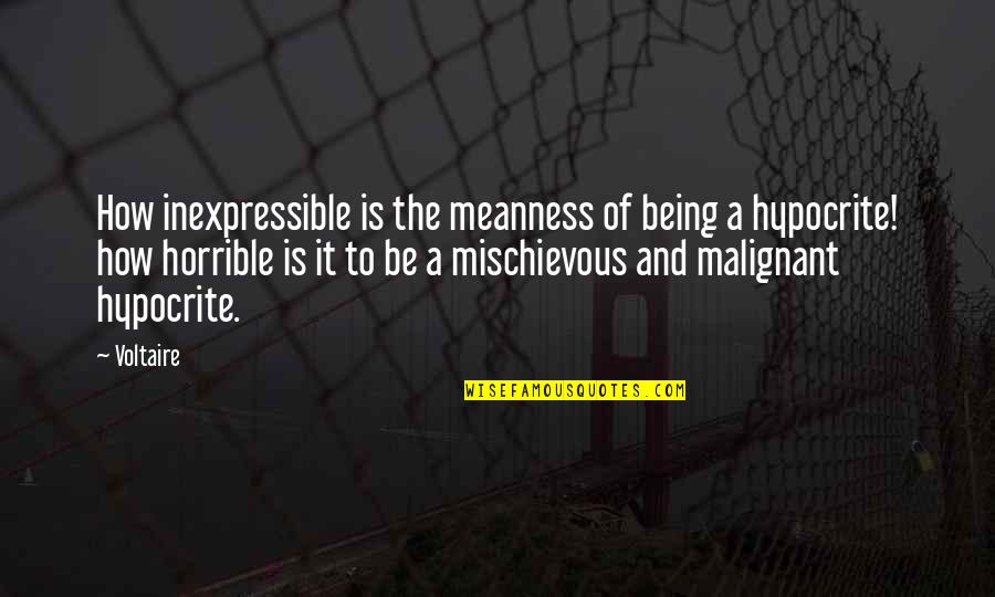Being A Hypocrite Quotes By Voltaire: How inexpressible is the meanness of being a