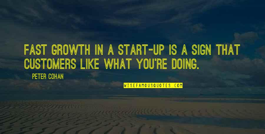 Being A Leader And Not Follower Quotes By Peter Cohan: Fast growth in a start-up is a sign