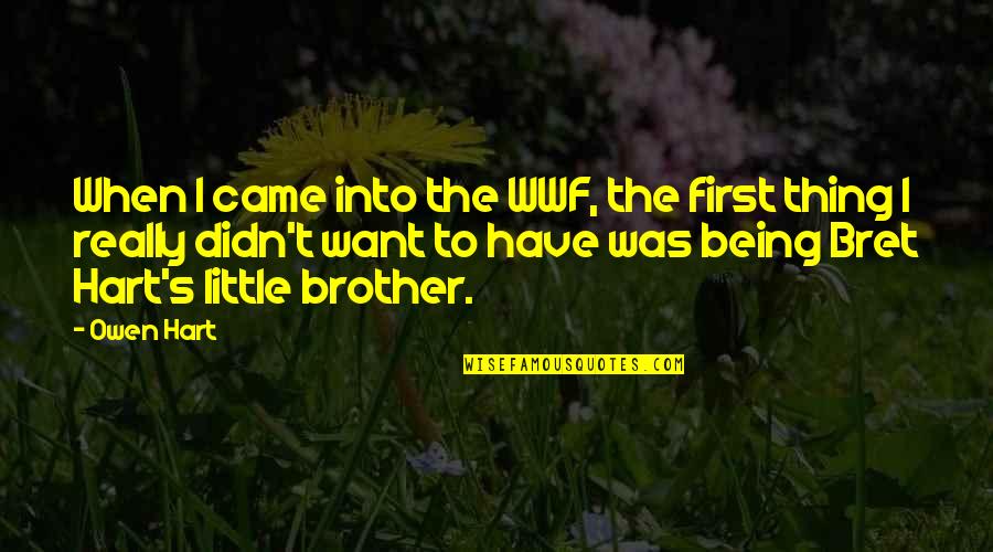 Being A Little Brother Quotes By Owen Hart: When I came into the WWF, the first Being A Little Brother Quotes By Owen Hart: When I came into the WWF, the first