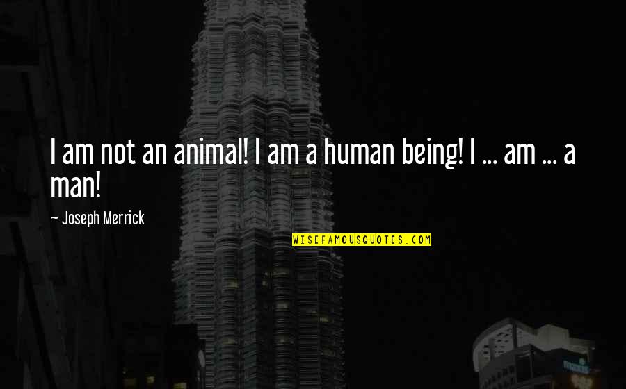 Being A Man Quotes By Joseph Merrick: I am not an animal! I am a