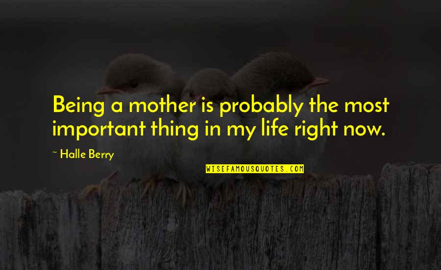 Being A Mother Quotes By Halle Berry: Being a mother is probably the most important