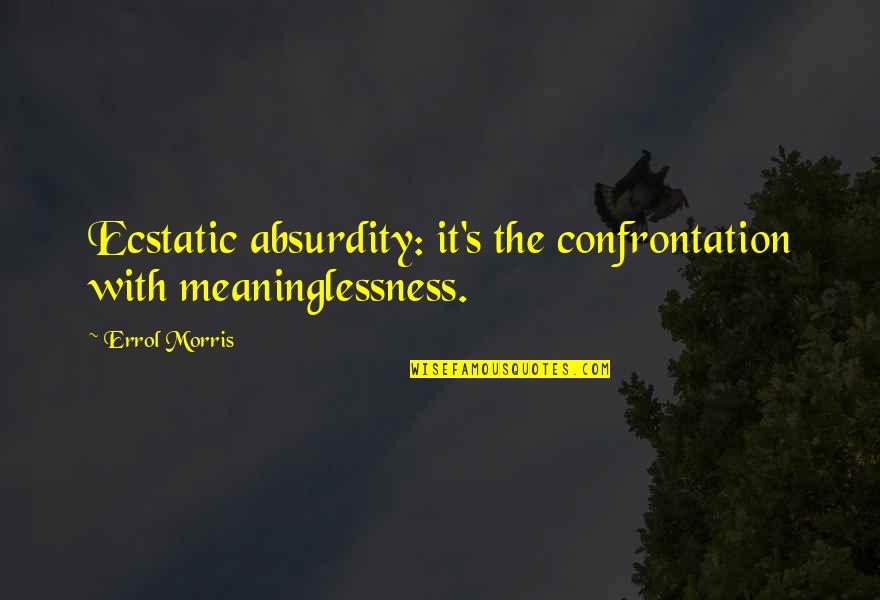 Being A Paramedic Quotes By Errol Morris: Ecstatic absurdity: it's the confrontation with meaninglessness.