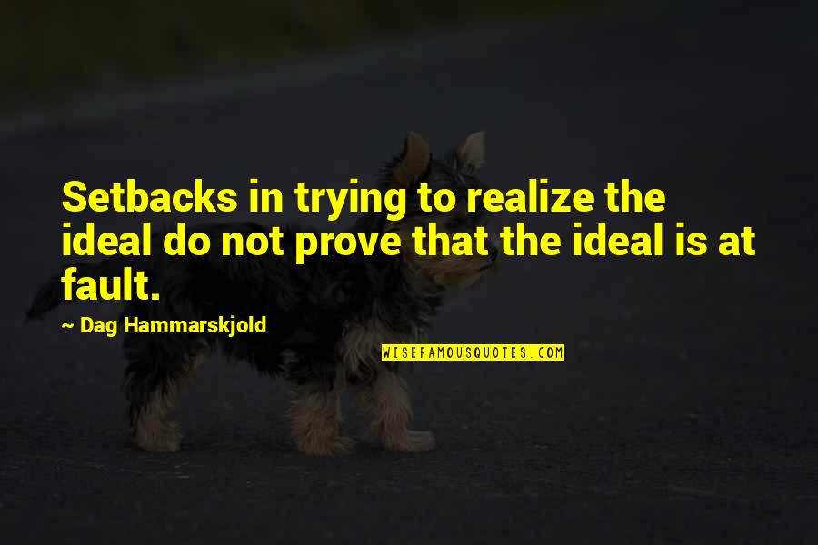 Being A Parent And Not Partying Quotes By Dag Hammarskjold: Setbacks in trying to realize the ideal do
