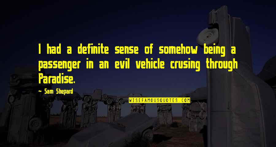 Being A Passenger Quotes By Sam Shepard: I had a definite sense of somehow being