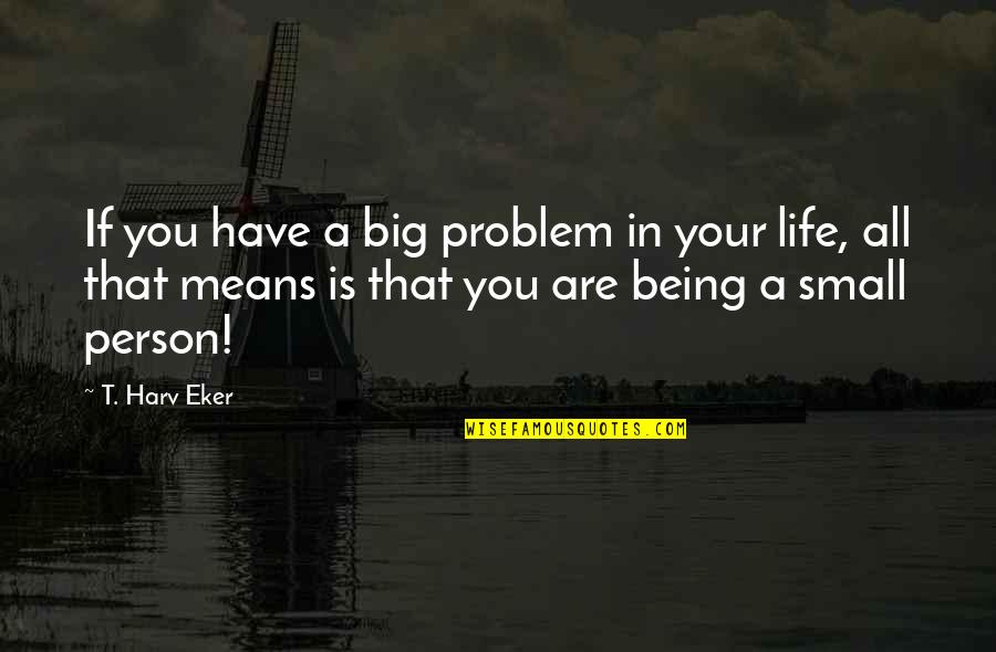 Being A Person Quotes By T. Harv Eker: If you have a big problem in your Being A Person Quotes By T. Harv Eker: If you have a big problem in your