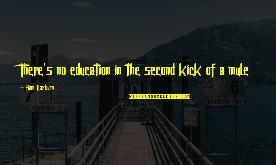 Being A Pimp Quotes By Sam Rayburn: There's no education in the second kick of