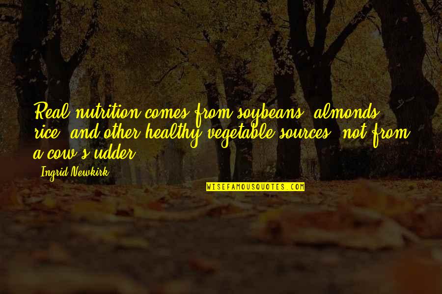 Being A Respectable Lady Quotes By Ingrid Newkirk: Real nutrition comes from soybeans, almonds, rice, and Being A Respectable Lady Quotes By Ingrid Newkirk: Real nutrition comes from soybeans, almonds, rice, and