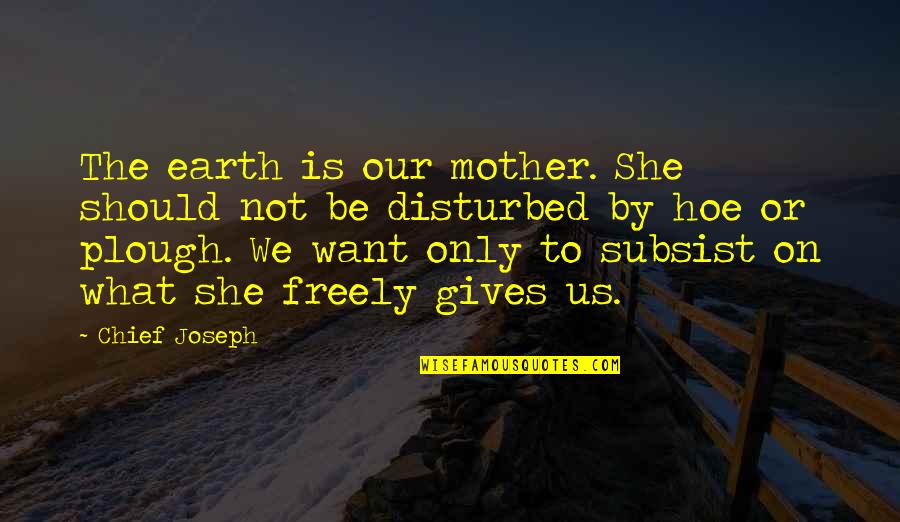 Being A Sister To Every Girl Scout Quotes By Chief Joseph: The earth is our mother. She should not
