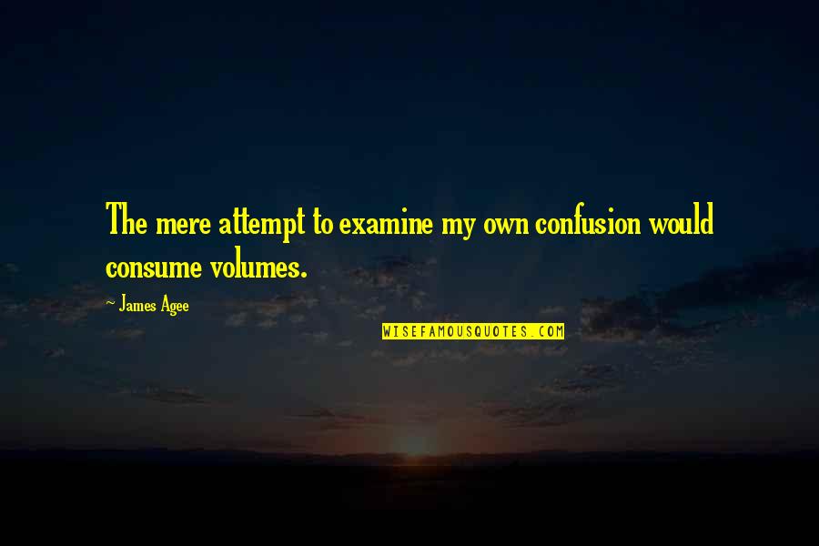 Being A Stranger In Your Own Home Quotes By James Agee: The mere attempt to examine my own confusion