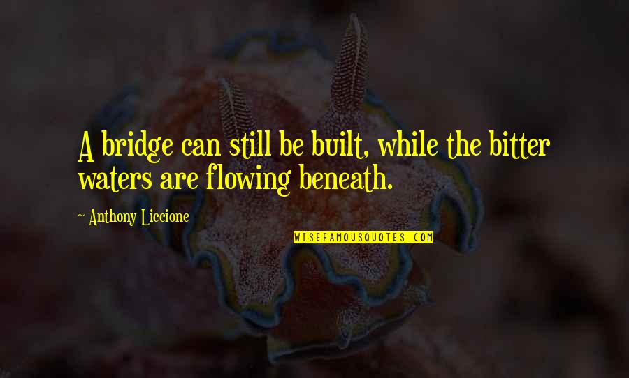 Being A Strong Quotes By Anthony Liccione: A bridge can still be built, while the