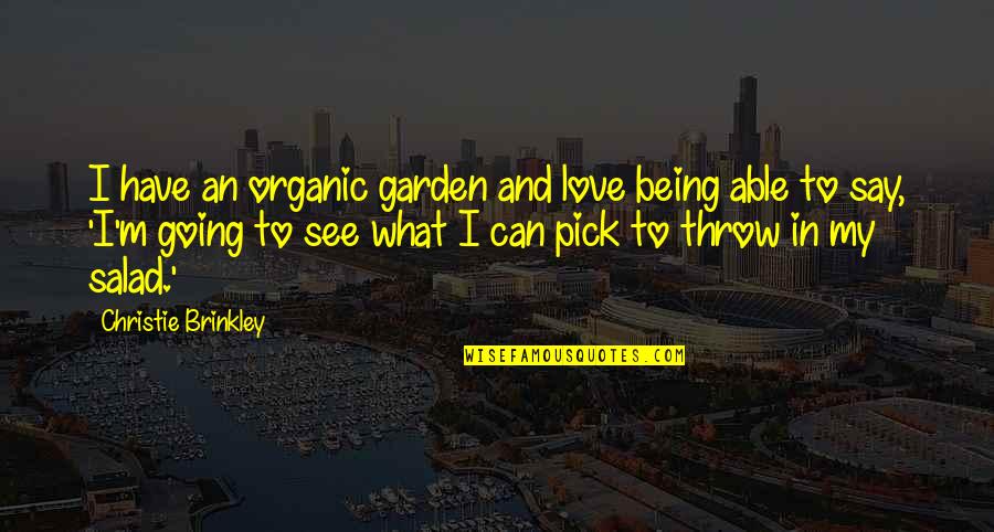 Being Able To Love Quotes By Christie Brinkley: I have an organic garden and love being