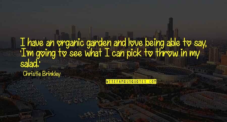 Being Able To Love Quotes By Christie Brinkley: I have an organic garden and love being Being Able To Love Quotes By Christie Brinkley: I have an organic garden and love being