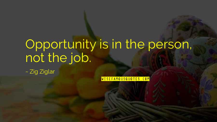 Being Above Everyone Else Quotes By Zig Ziglar: Opportunity is in the person, not the job.
