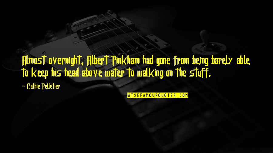 Being Above It All Quotes By Cathie Pelletier: Almost overnight, Albert Pinkham had gone from being Being Above It All Quotes By Cathie Pelletier: Almost overnight, Albert Pinkham had gone from being