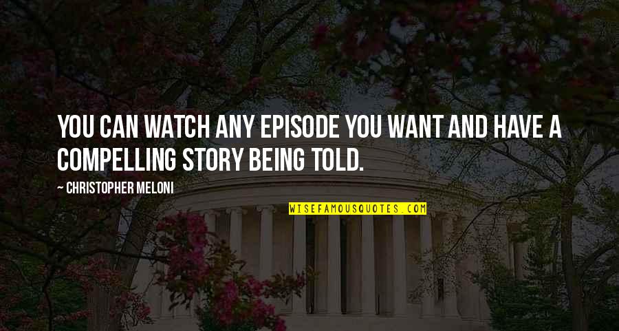 Being All That You Can Be Quotes By Christopher Meloni: You can watch any episode you want and