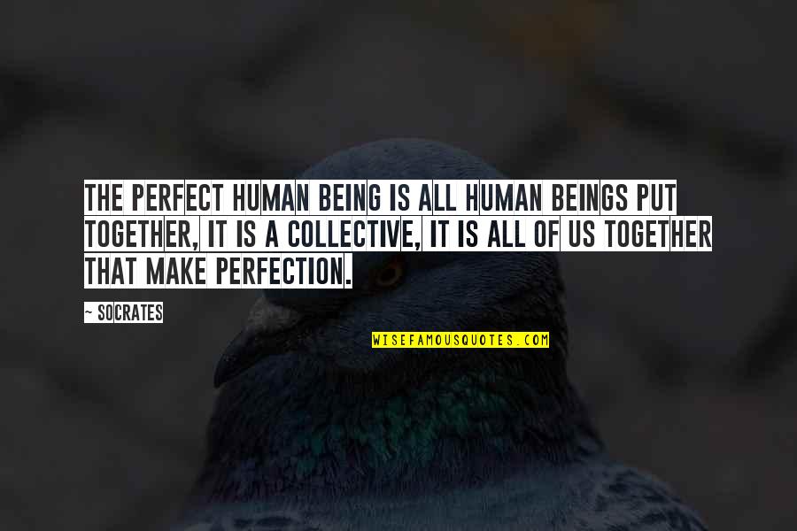 Being All Together Quotes By Socrates: The perfect human being is all human beings