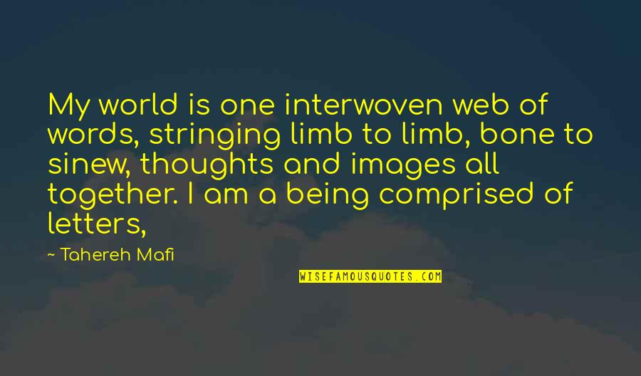 Being All Together Quotes By Tahereh Mafi: My world is one interwoven web of words,