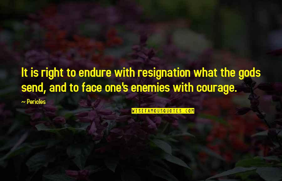 Being Alone In Marriage Quotes By Pericles: It is right to endure with resignation what