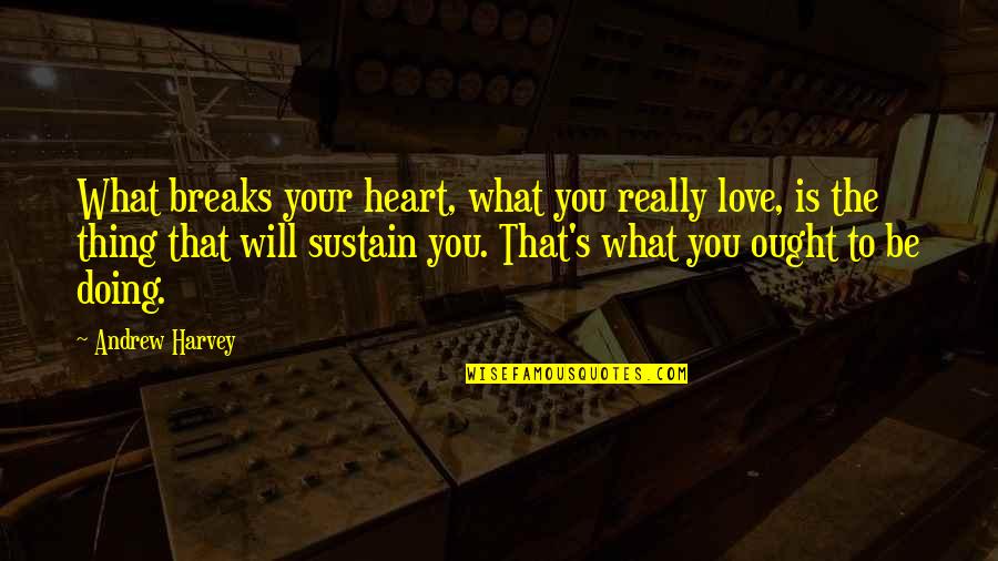 Being An Aunt Again Quotes By Andrew Harvey: What breaks your heart, what you really love, Being An Aunt Again Quotes By Andrew Harvey: What breaks your heart, what you really love,