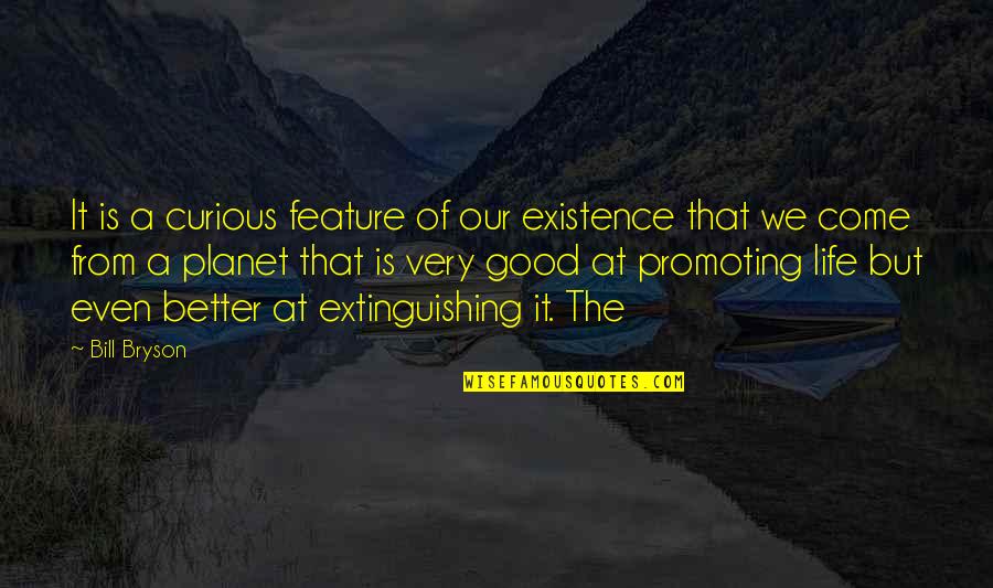 Being An Honest Person Quotes By Bill Bryson: It is a curious feature of our existence Being An Honest Person Quotes By Bill Bryson: It is a curious feature of our existence