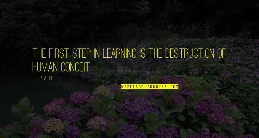 Being An Old Fashioned Girl Quotes By Plato: The first step in learning is the destruction