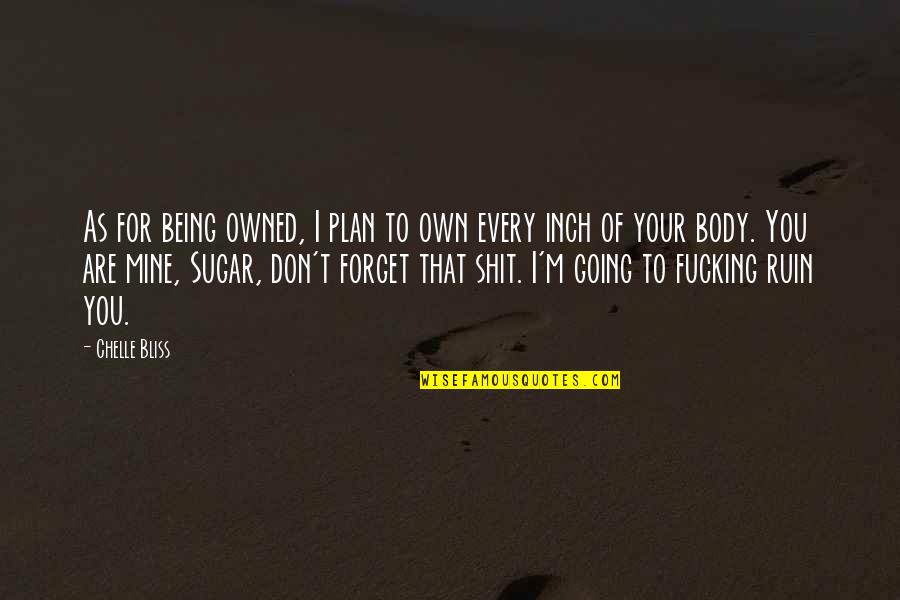 Being As You Are Quotes By Chelle Bliss: As for being owned, I plan to own