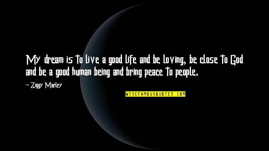 Being At Peace With Life Quotes By Ziggy Marley: My dream is to live a good life