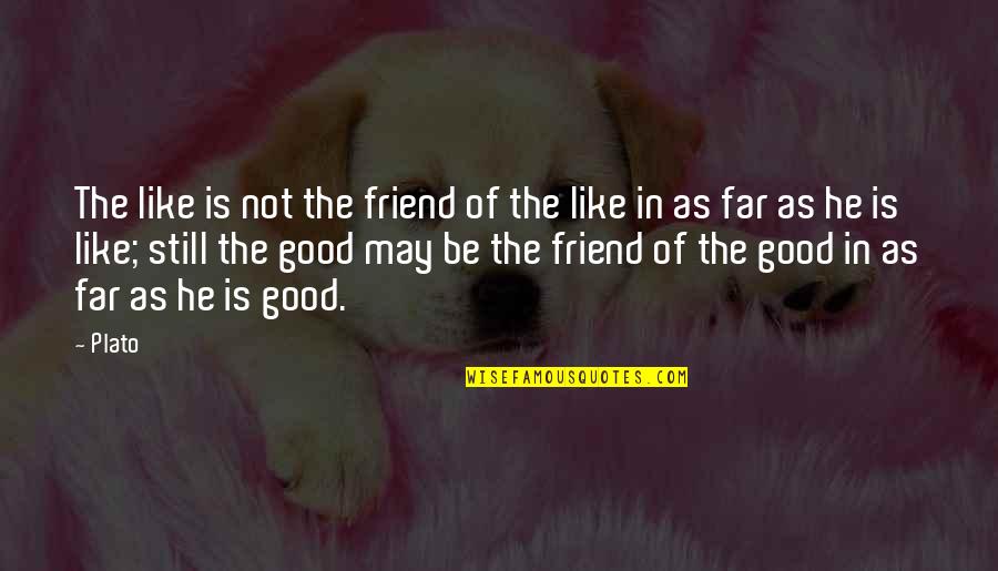 Being Attached To Someone Quotes By Plato: The like is not the friend of the