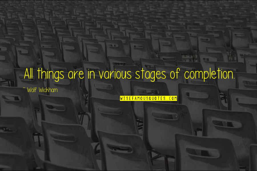 Being Attached To Someone Quotes By Wolf Wickham: All things are in various stages of completion.