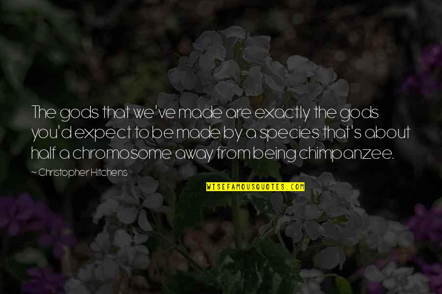 Being Away From You Quotes By Christopher Hitchens: The gods that we've made are exactly the Being Away From You Quotes By Christopher Hitchens: The gods that we've made are exactly the